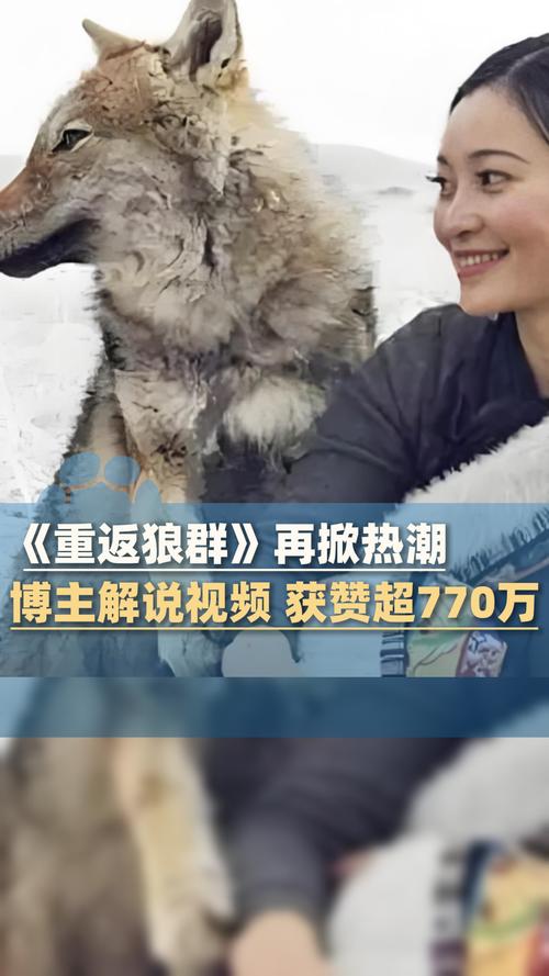 老司机影院国内版 - 2025最新资源免费在线观看，高清无广告追剧神器推荐