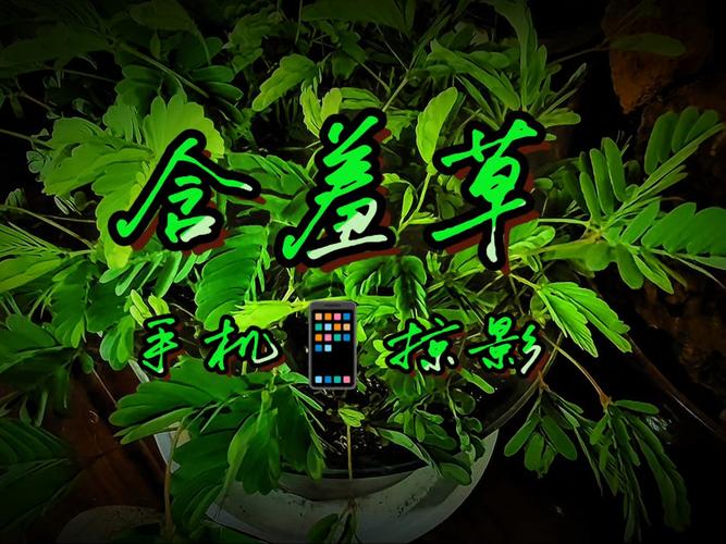 518国语版影院情欲满载：沉浸式观影体验与情感共鸣解析