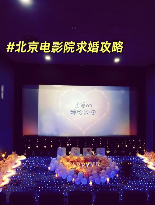 私家影院的相关介绍