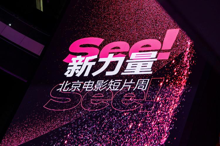 浮力影院最新地址入口，2025年高清影视资源在线观看，浮力影院最新地扯合集