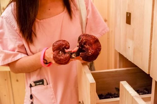 万全影院20140k理论片：超清画质解锁哲学思辨，深度探讨人性与社会的暗面隐喻