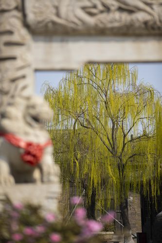 蜜桃成熟时天狼影院在线观看｜经典剧情解读｜高清完整版资源