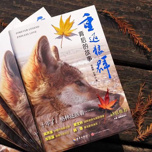 午夜宫影院在线 - 免费高清影视资源 | 在线观看最新电影 | 午夜宫影院官网入口