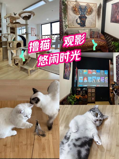 浮力影院限国产1在线观看 - 国产影视精选 | 高清免费国产电影 | 限时热播国产剧推荐