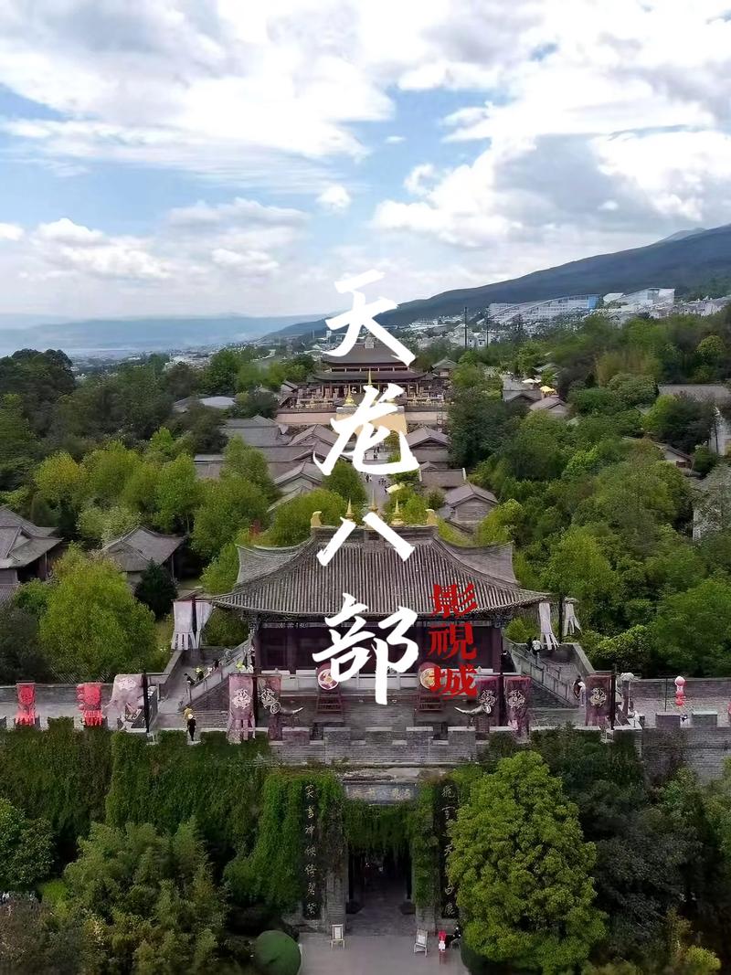 亚洲人成网站在线观看69影院的相关介绍