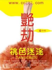 成版人视频app免费的相关介绍