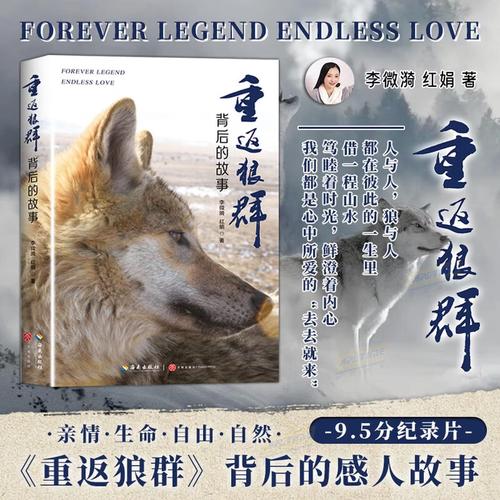 玉兰影院在线观看免费版 | 高清影视资源 | 最新电影大全