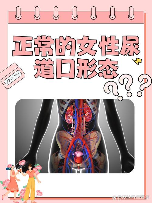 yy6080新视觉影院的相关介绍